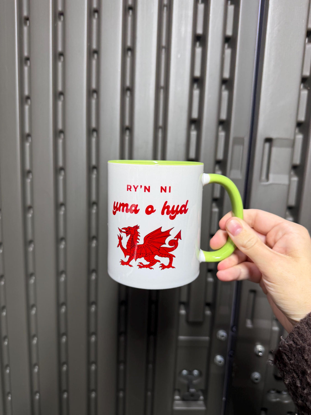 Yma O Hyd Mug 11oz Mug