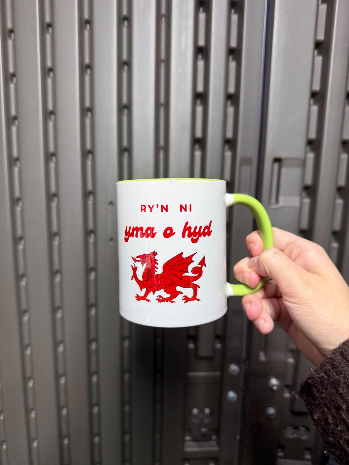 Yma O Hyd Mug 11oz Mug